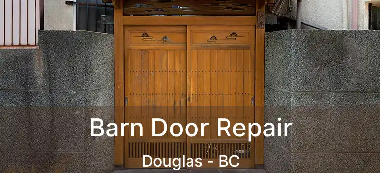 Barn Door Repair Douglas - BC