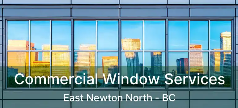 Commercial Window Services East Newton North - BC