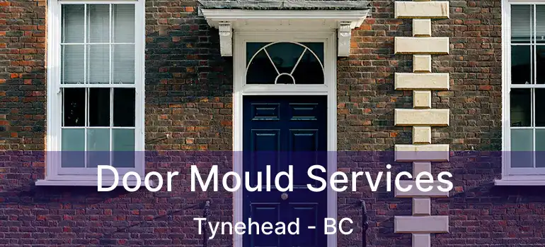 Door Mould Services Tynehead - BC