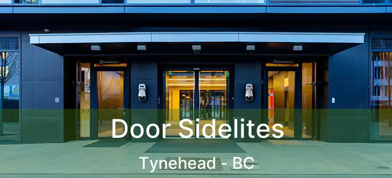 Door Sidelites Tynehead - BC