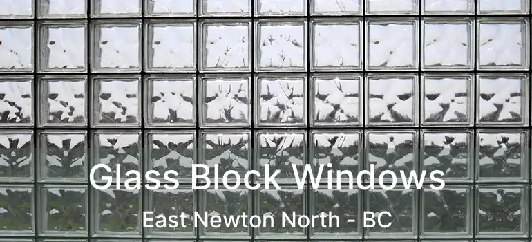 Glass Block Windows East Newton North - BC