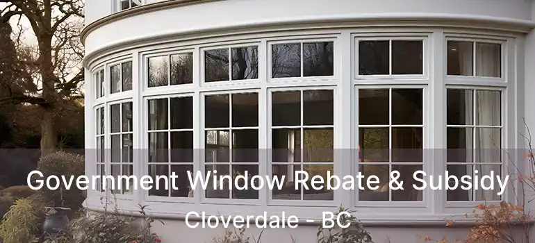  Government Window Rebate & Subsidy Cloverdale - BC