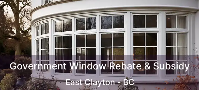  Government Window Rebate & Subsidy East Clayton - BC