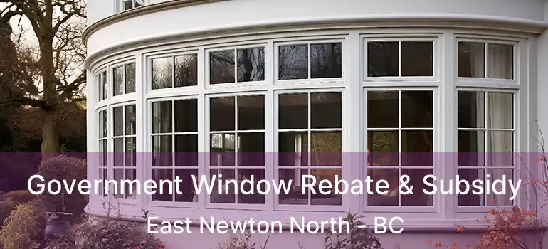  Government Window Rebate & Subsidy East Newton North - BC