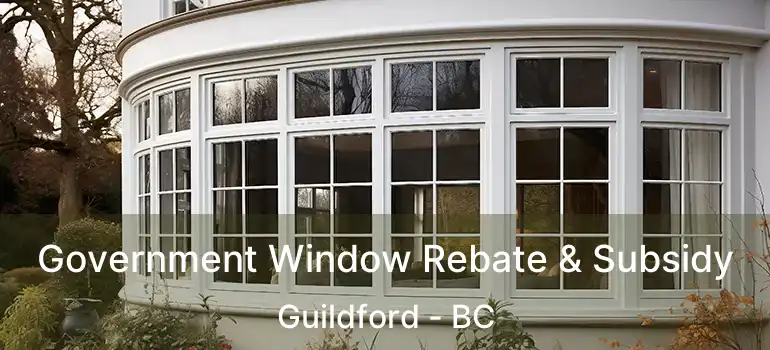  Government Window Rebate & Subsidy Guildford - BC