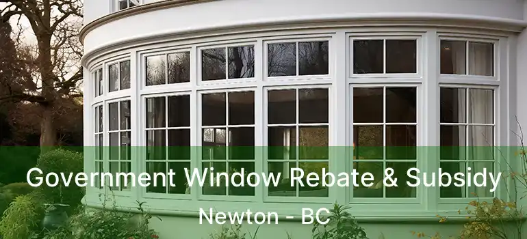  Government Window Rebate & Subsidy Newton - BC