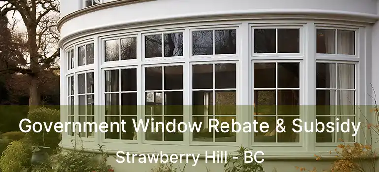  Government Window Rebate & Subsidy Strawberry Hill - BC