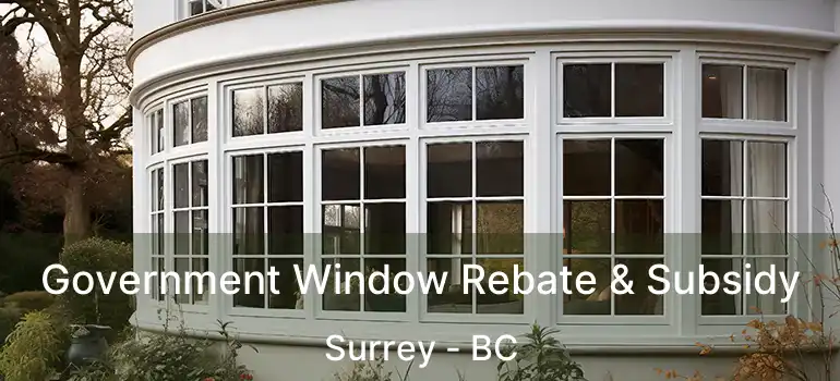Government Window Rebate & Subsidy Surrey - BC