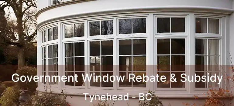  Government Window Rebate & Subsidy Tynehead - BC