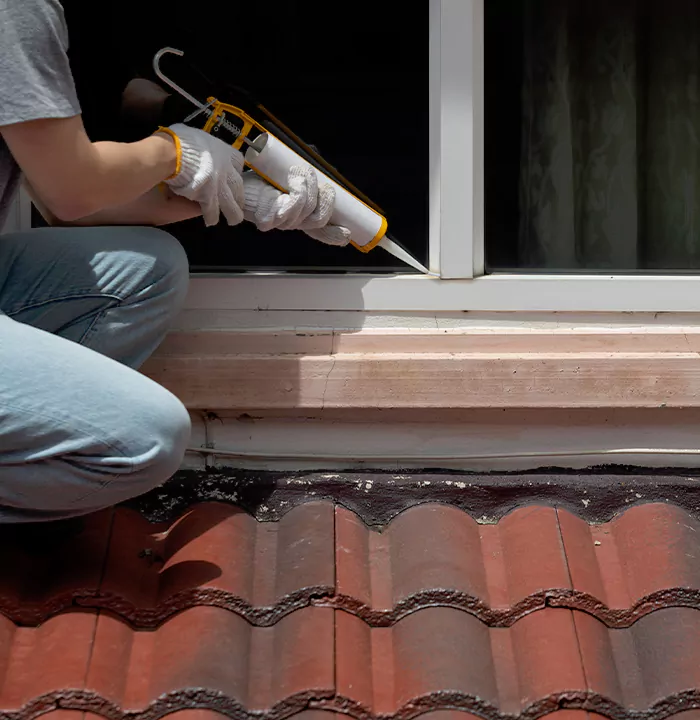 Roof Window Services in Surrey, British Columbia