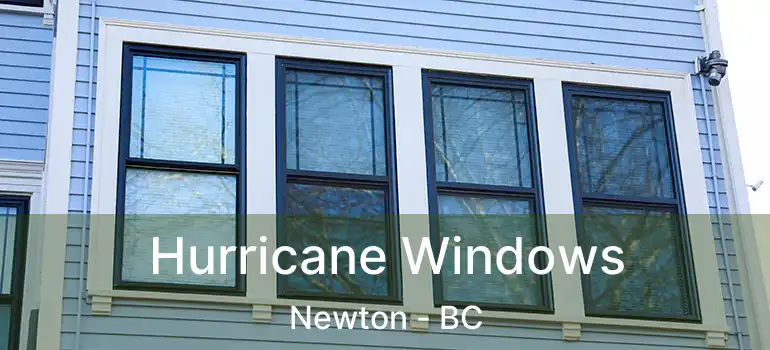 Hurricane Windows Newton - BC