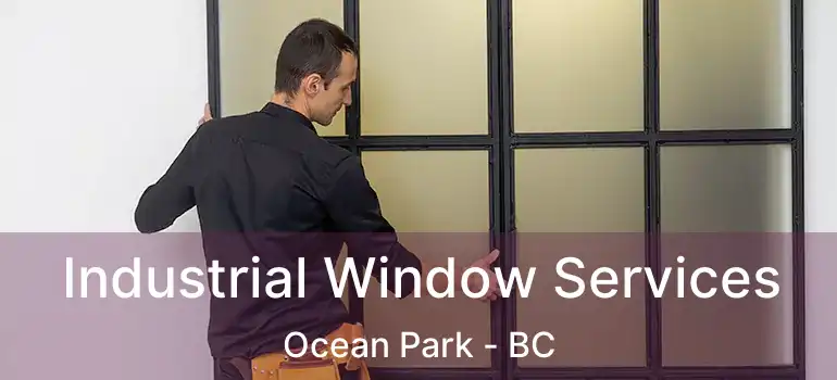 Industrial Window Services Ocean Park - BC