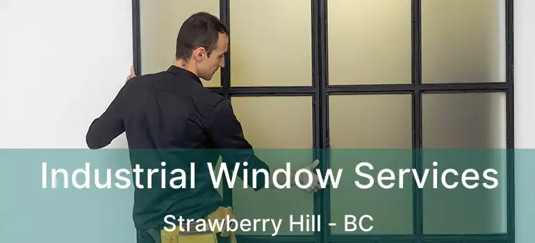 Industrial Window Services Strawberry Hill - BC