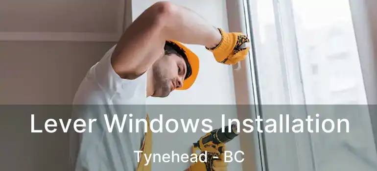 Lever Windows Installation Tynehead - BC