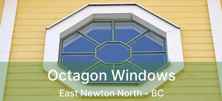  Octagon Windows East Newton North - BC