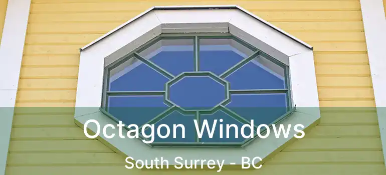  Octagon Windows South Surrey - BC