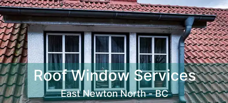 Roof Window Services East Newton North - BC