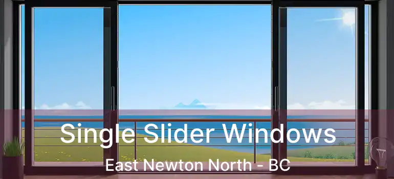 Single Slider Windows East Newton North - BC