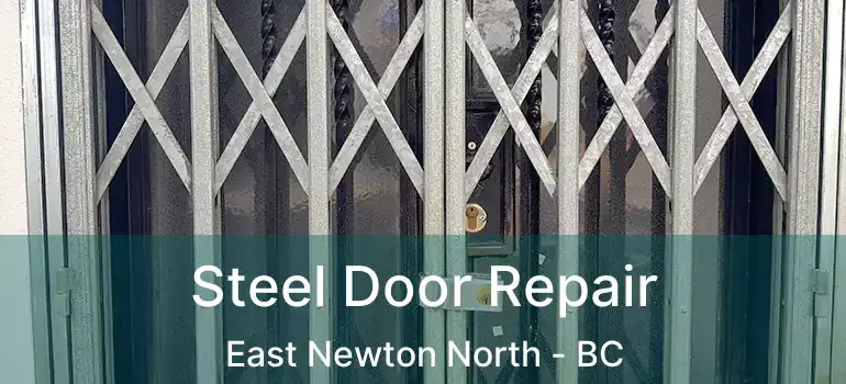 Steel Door Repair East Newton North - BC