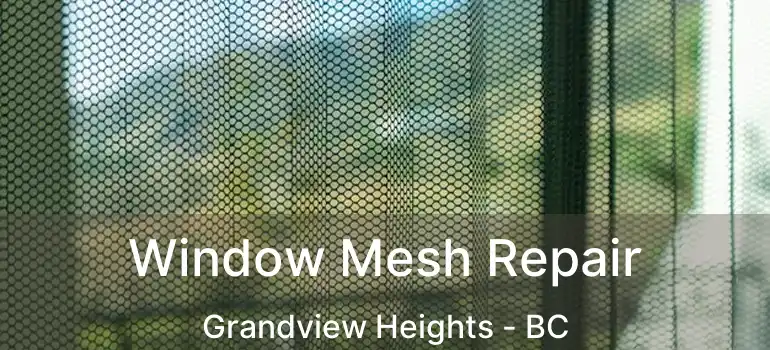 Window Mesh Repair Grandview Heights - BC