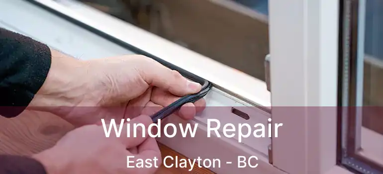 Window Repair East Clayton - BC